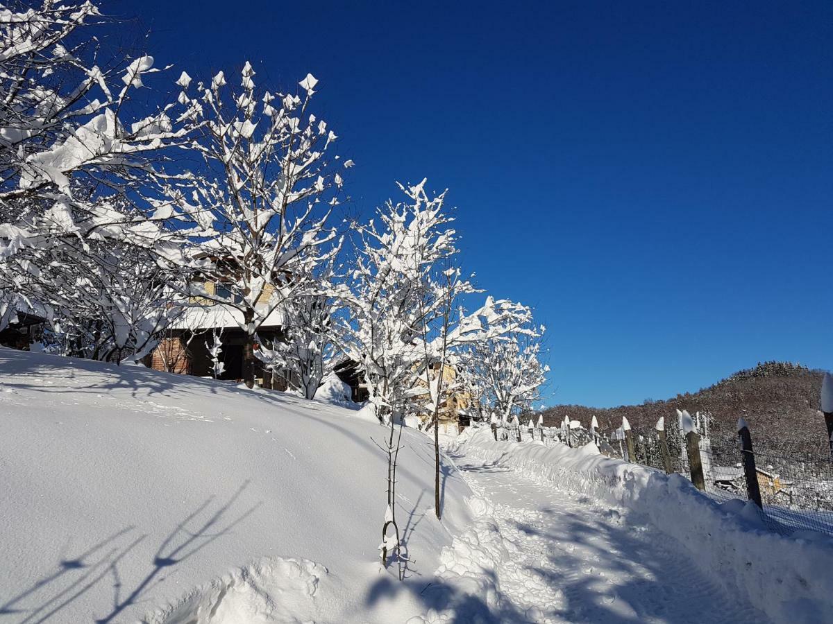 Casa Vacanze Le Primule Peveragno 外观 照片