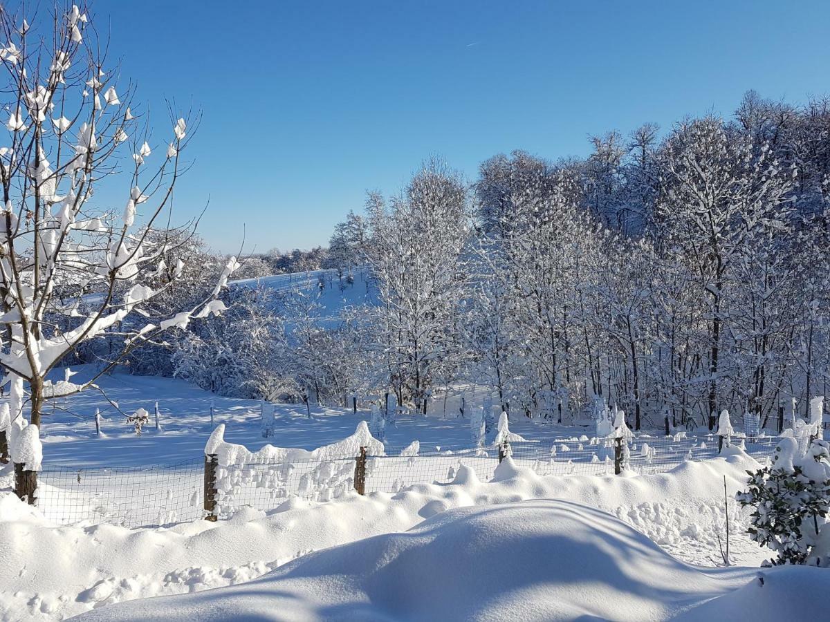 Casa Vacanze Le Primule Peveragno 外观 照片