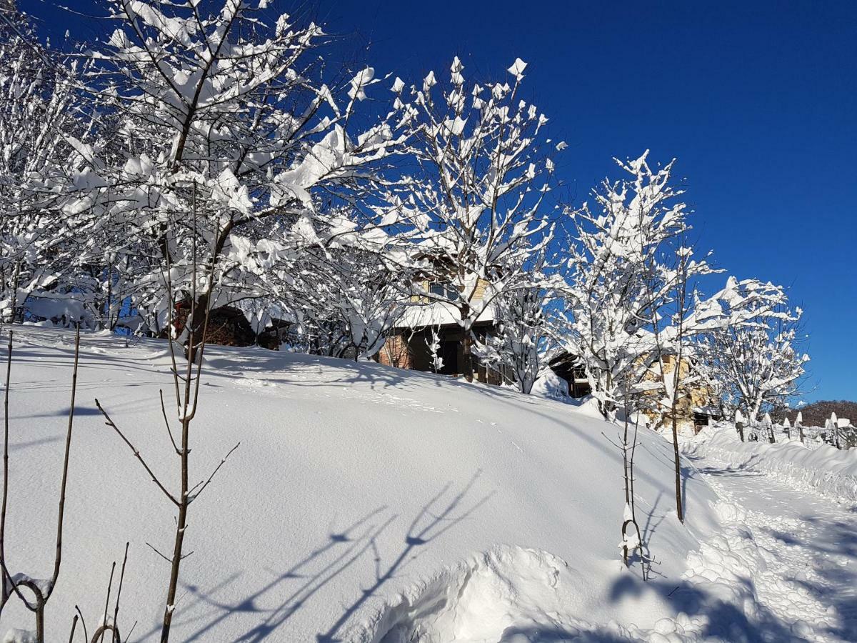 Casa Vacanze Le Primule Peveragno 外观 照片